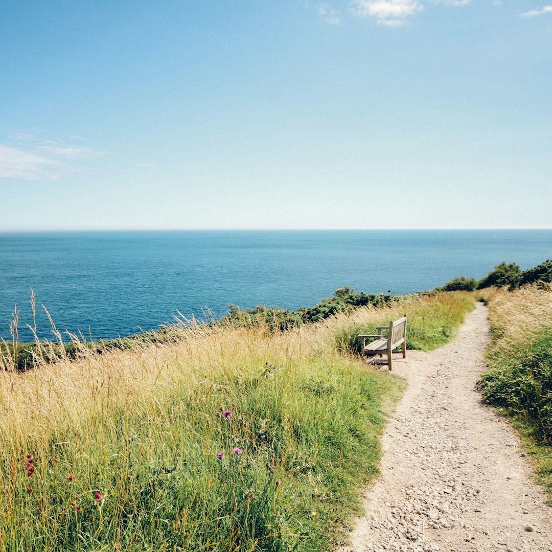 Chemin en bord de mer baigné de lumière symbolisant la sérénité et l’accompagnement lors des transitions de vie